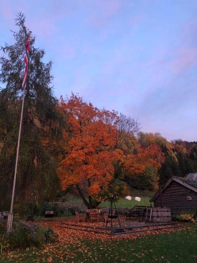 Skjeggestad Gjestehus 링에부 외부 사진